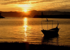 ordu kapak1