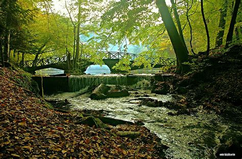 Bilinmeyen Doğa Harikası: Abant Yedi Göl