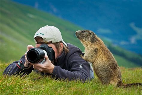 Doğa Fotoğrafçılığı İpuçları