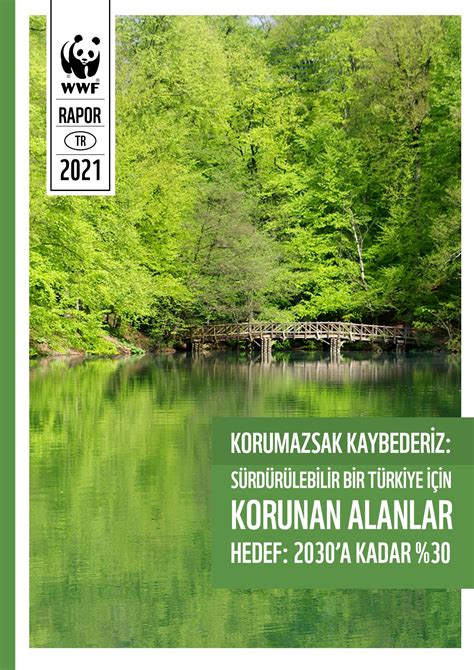 Kamp Yaparken Doğal Hayatı Koruma İlkeleri