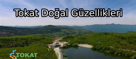 Tokat'ın Yemyeşil Doğası ve Bağ Evi Lezzet Durakları