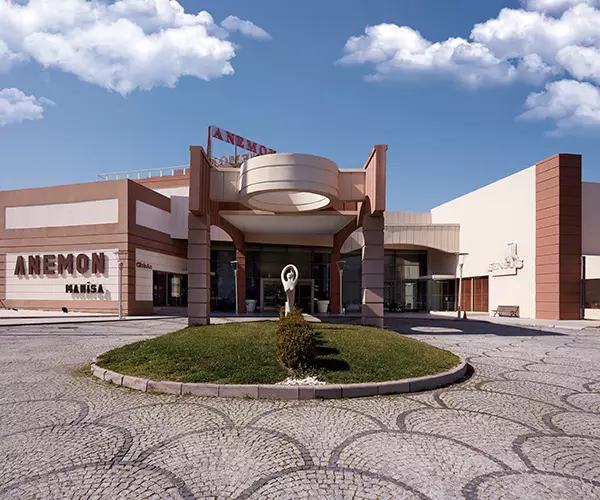 Anemon Manisa