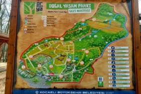 Ormanya Gezi Rehberi 2025