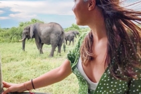 Afrika'da Safari Deneyimi: Nerede ve Nasıl Yapılır?