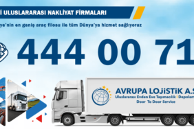 Yurt Dışında Ulaşım: En İyi Taşımacılık Seçenekleri