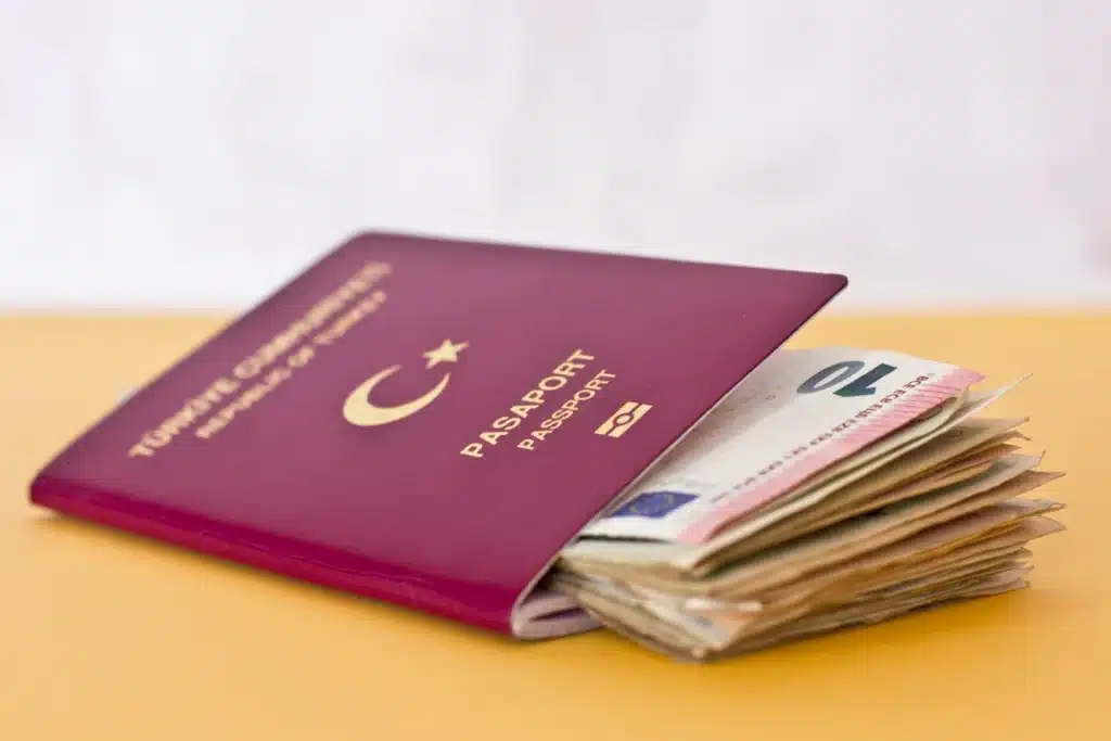 2025’te Türkiye’den Alınabilecek Turistik Vize Türleri