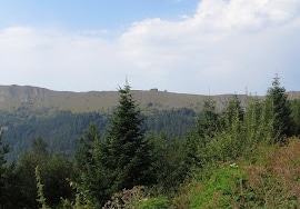 Ayıkayası Tabiat Parkı