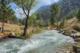 Başpınar Tabiat Parkı