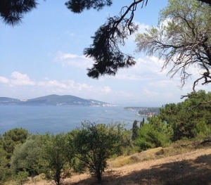 Büyükada Tabiat Parkı