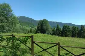 Çalcamili Tabiat Parkı