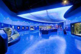 İstanbul Aqua Florya Akvaryum