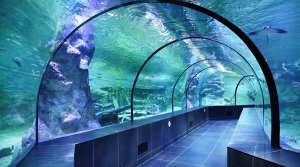 İstanbul ViaSea Aquarium