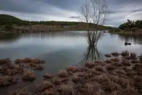 Sorgun Göleti Tabiat Parkı